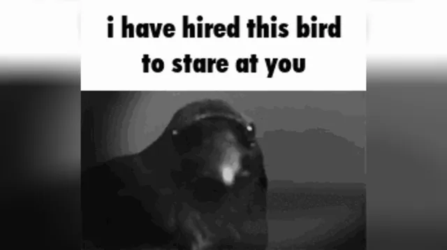 I Have Hired X to Stare at You meme card