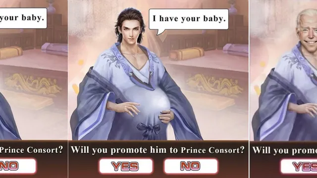 I Have Your Baby / Will You Promote Him To Prince Consort? meme card