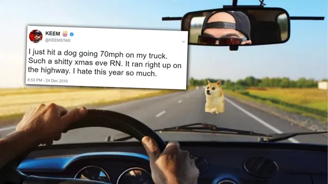 Carte meme I Just Hit a Dog Going 70MPH on My Truck