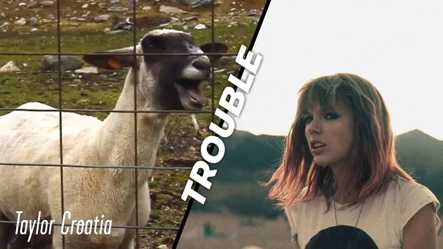 Carte meme I Knew You Were Trouble