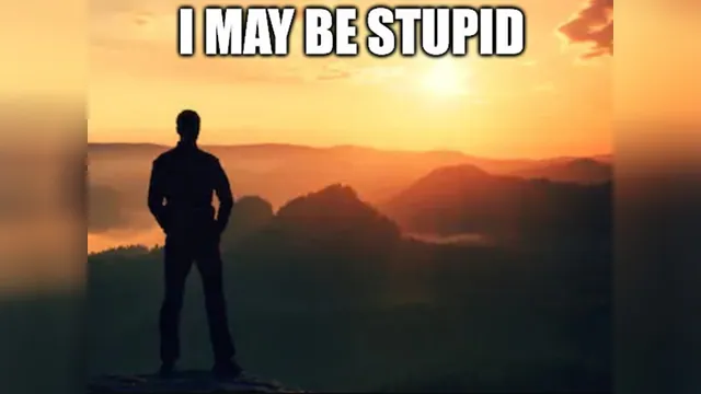 I May Be Stupid meme card