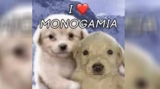 Carte meme I ❤️ Monogamia / I Love Monogamy