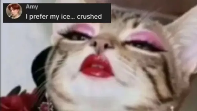 Carte meme I Prefer My Ice... Crushed