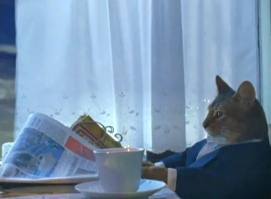Carte meme I Should Buy a Boat Cat