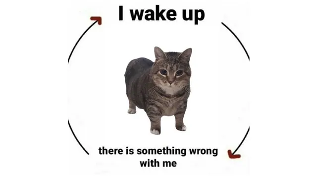 Carte meme I Wake Up / There Is X