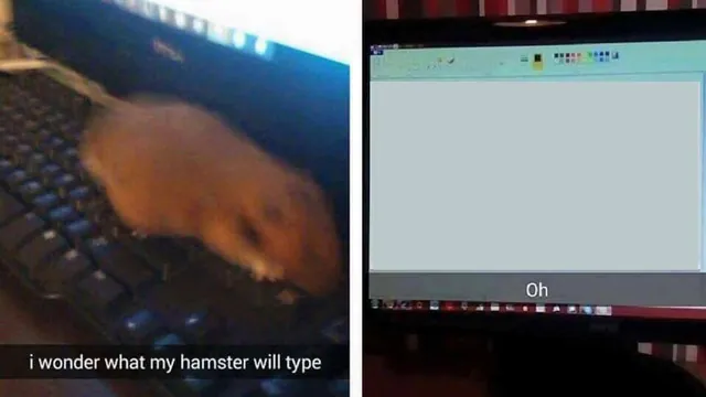 I Wonder What My Hamster Will Type meme card