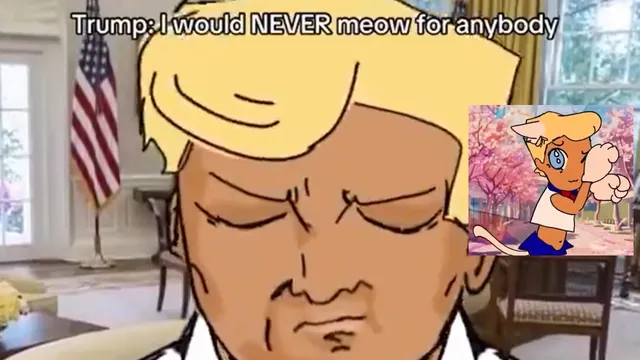 I Would Never Meow For Anyone / Meow Meow Trend meme card