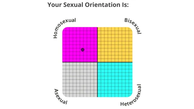 IDRlabs Sexual Orientation Test meme card
