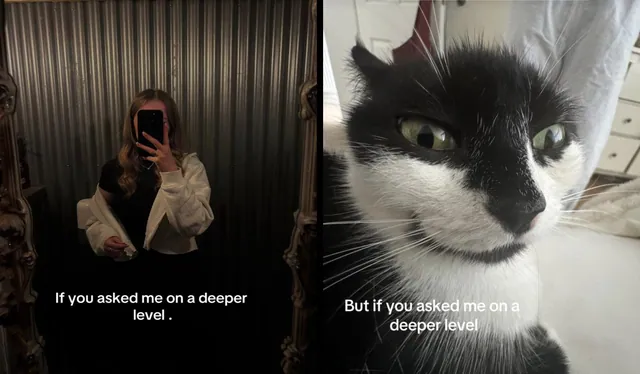 If You Asked Me On A Deeper Level (TikTok Trend) meme card
