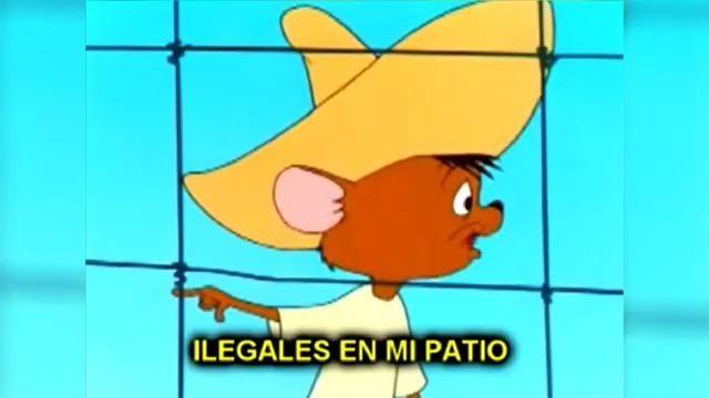Illegals In My Yard meme card