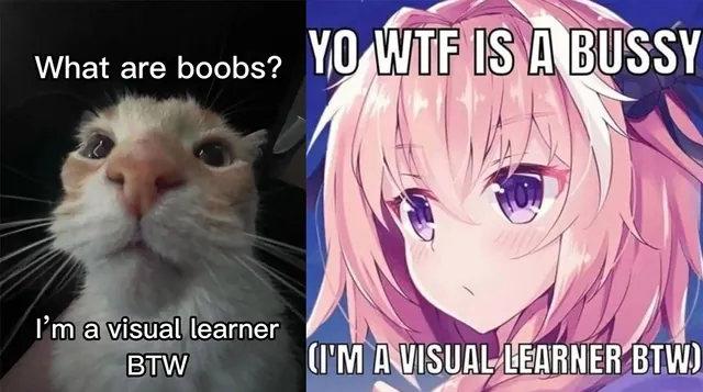 I'm A Visual Learner BTW meme card