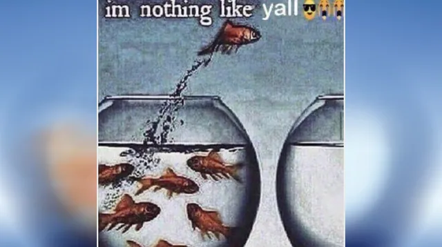 I'm Nothing Like Y'all meme card