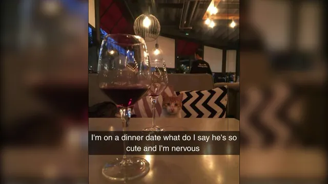 I'm On a Dinner Date What Do I Say He's So Cute meme card