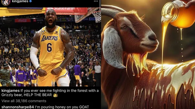 I'm Pouring Honey on You GOAT meme card