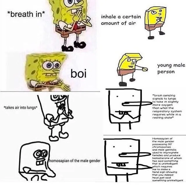 Carte meme Increasingly Verbose Memes
