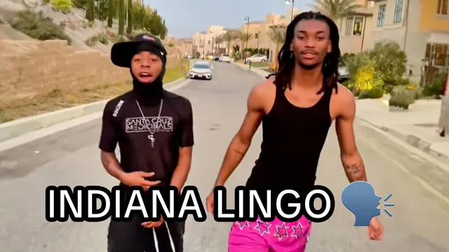 Indiana Lingo meme card