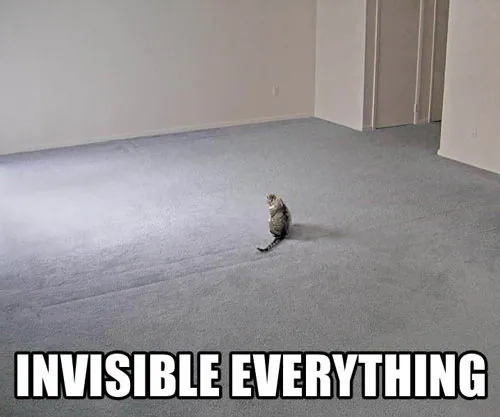 Invisible Bike meme card