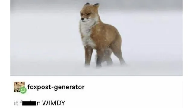 Carte meme It Fucken Wimdy