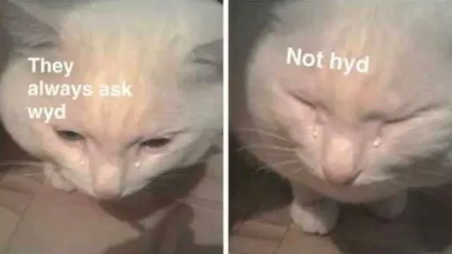 Carte meme It’s Always WYD and Never HYD