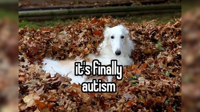 It's Finally Autism meme card