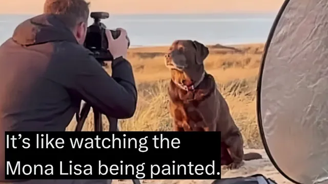It's Like Watching the Mona Lisa Being Painted meme card