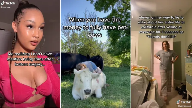It's My Pussy I Can Do What I Want meme card