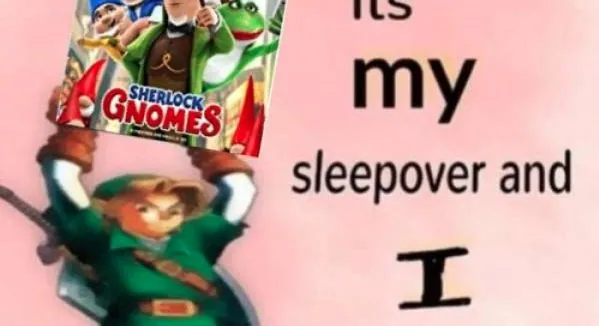It's My Sleepover and I Get to Choose the Movie meme card