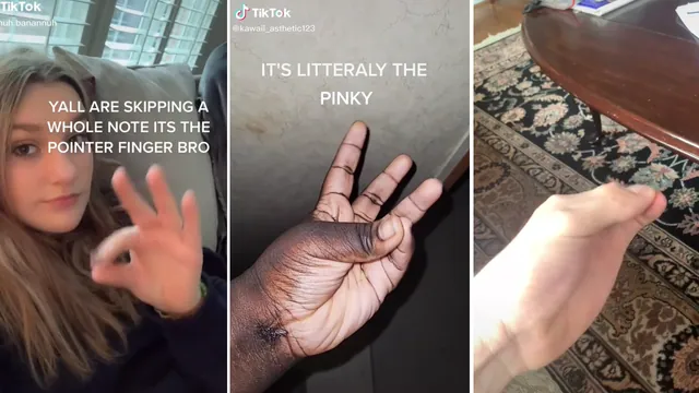 It's The Pointer / Pinky TikTok Trend meme card