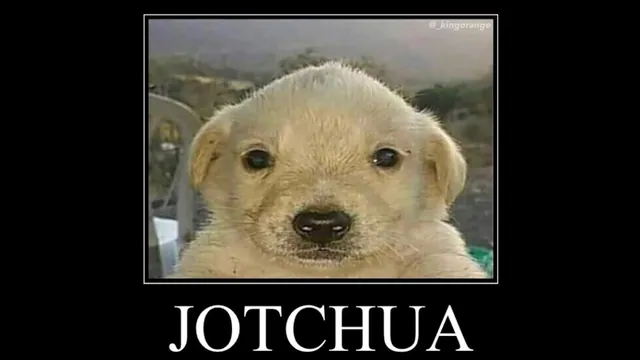 Jotchua meme card