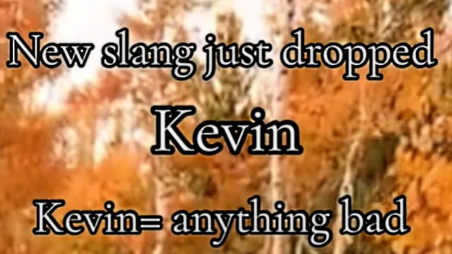 Kevin / TS So Kevin (Slang) meme card