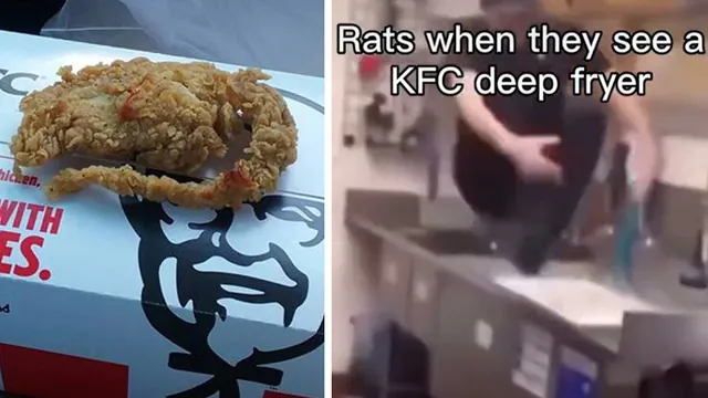 KFC Deep Fried Rat meme card