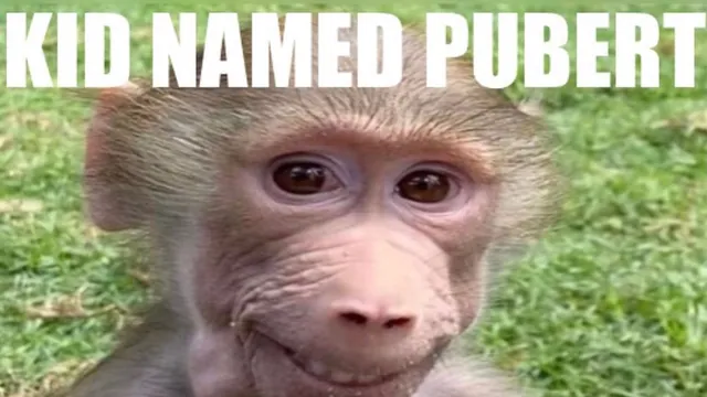 Kid Named Pubert meme card