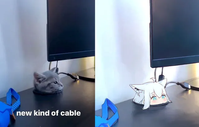 Kitten Appears From The Cable Hole meme card