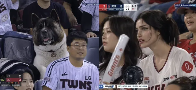 Carte meme Korean Baseball AI Trend