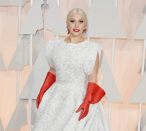Lady Gaga's Dishwashing Gloves meme card