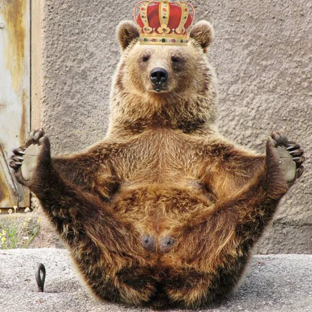 Carte meme Landlord Bear