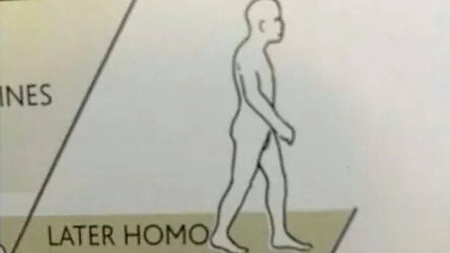 Carte meme Later Homo