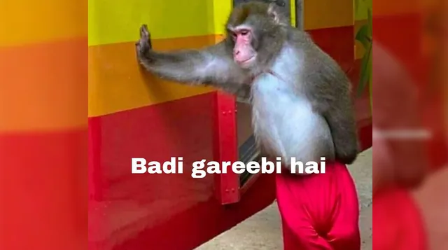 Carte meme Leaning Monkey with Red Pants