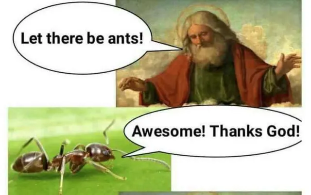 Let There Be Ants! meme card