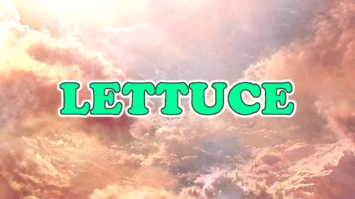 Carte meme Lettuce / It Says "Never Give Up"