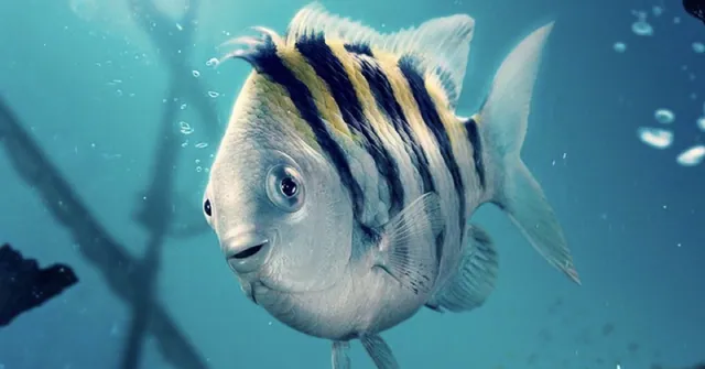 Carte meme Live-action Flounder