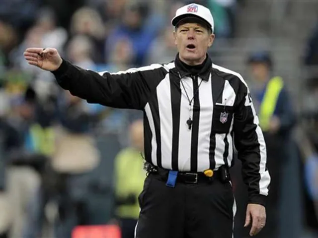 Logical Fallacy Referee meme card