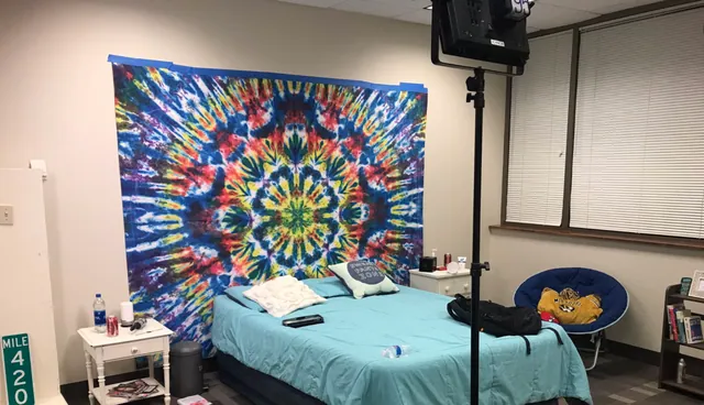 Looks Like A Normal Teen's Bedroom, Right? meme card