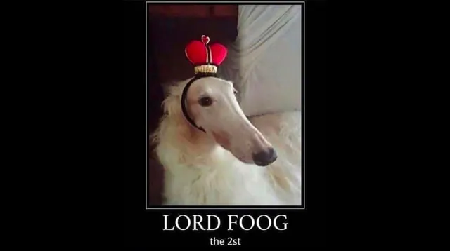 Lord Foog the 2st meme card