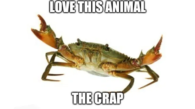 Love This Animal meme card