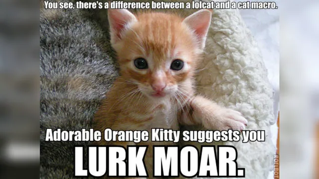 Carte meme Lurk Moar
