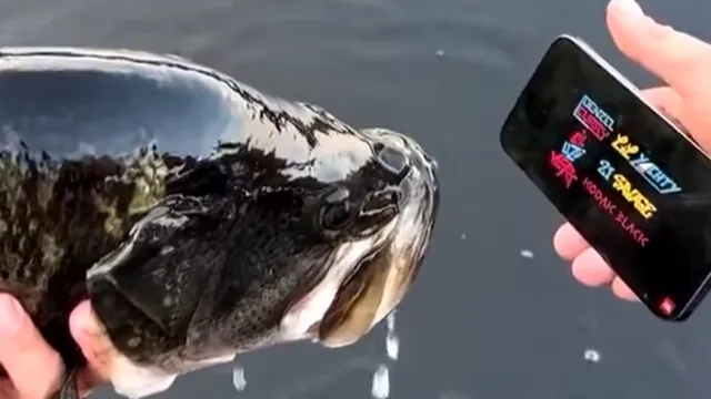 Made the Fish I Just Caught Watch X meme card