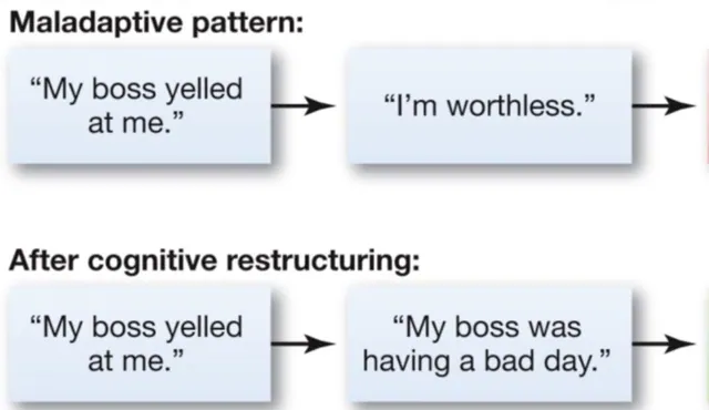 Maladaptive Pattern meme card