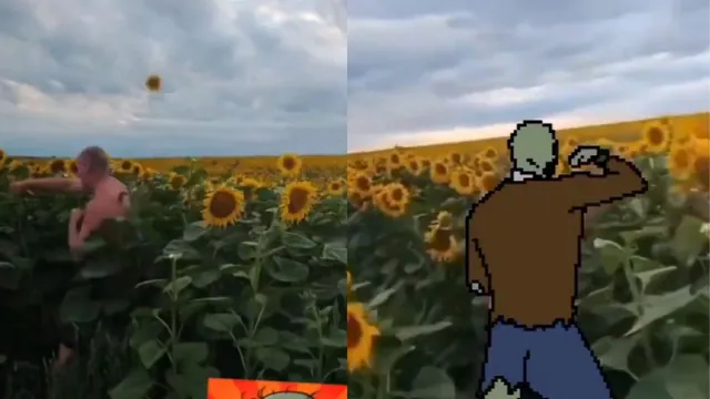 Man Punching Sunflowers meme card