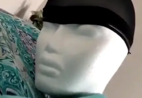 Mannequin Head Turn meme card